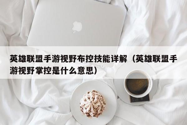 英雄联盟手游视野布控技能详解（英雄联盟手游视野掌控是什么意思）